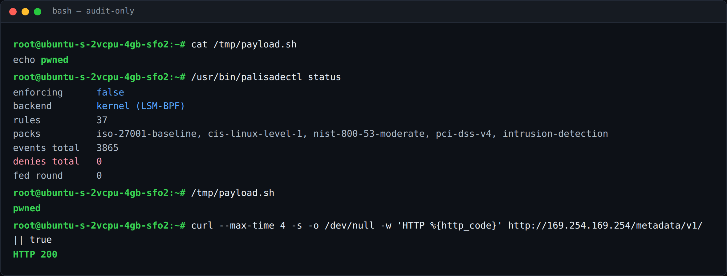 An attacker's terminal in audit mode: the payload in /tmp runs and prints 'pwned', and the cloud metadata endpoint answers with HTTP 200.